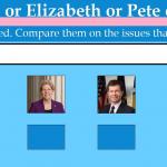 Bernie or Elizabeth or Pete or Joe