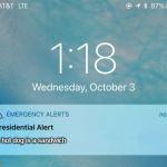 Presidential Alert | A hot dog is a sandwich | image tagged in presidential alert,dank memes,dank meme,hotdogs,trump says so | made w/ Imgflip meme maker