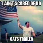 I ain't scared of no hurricane | CATS TRAILER | image tagged in i ain't scared of no hurricane | made w/ Imgflip meme maker