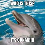 DOLPHIN | WHO IS THIS? ITS CONAN!!!! | image tagged in dolphin | made w/ Imgflip meme maker