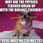 smart dog | WHY DID THE PHYSICS TEACHER BREAK UP WITH THE BIOLOGY TEACHER? THERE WAS NO CHEMISTRY. | image tagged in smart dog | made w/ Imgflip meme maker