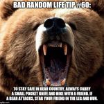 Don't poke the bear  | BAD RANDOM LIFE TIP #60: TO STAY SAFE IN BEAR COUNTRY, ALWAYS CARRY A SMALL POCKET KNIFE AND HIKE WITH A FRIEND. IF A BEAR ATTACKS, STAB YOU | image tagged in don't poke the bear | made w/ Imgflip meme maker