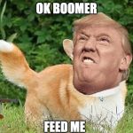 OK Boomer Corgi | OK BOOMER; FEED ME | image tagged in ok boomer corgi | made w/ Imgflip meme maker