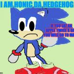 Honic | I AM HONIC DA HEDGEHOG; IF YOU EAT AN APPLE TWICE A DAY, YOU WILL GO TO MARS | image tagged in honic | made w/ Imgflip meme maker