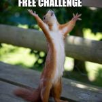 Funny squirrel | PLASTIC FREE CHALLENGE; HALLELUJAH | image tagged in amen squirrel,funny memes,praying squirrel,plastic,challenge | made w/ Imgflip meme maker