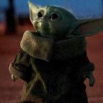 Baby Yoda