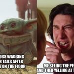 Baby Yoda Kylo | ME SEEING THE PEE AND THEN YELLING AT THEM; MY DOGS WAGGING THEIR TAILS AFTER PEEING ON THE FLOOR | image tagged in baby yoda kylo | made w/ Imgflip meme maker