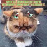 grumpy Christmas cat | WHEN ITS  CHRISTMAS BUT YOU'RE THE MINORITY WHO DOESN'T CELEBRATE IT. | image tagged in grumpy christmas cat | made w/ Imgflip meme maker
