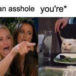 youre cat | image tagged in woman yelling at cat | made w/ Imgflip meme maker