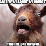 Scared goat | YOU: TEACHER, WHAT ARE WE DOING TODAY? TEACHER:LONG DIVISION | image tagged in scared goat | made w/ Imgflip meme maker