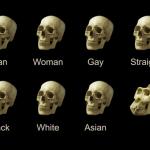 Dumb Skull Meme meme