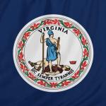 Virginia Flag Boogalations