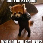 Animals to humans | DAT YOU RETSUKO; WHEN DID YOU GET HERE? | image tagged in animals to humans | made w/ Imgflip meme maker