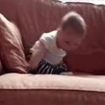 gif GIF Template