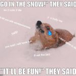 Oh no Corgi | "GO IN THE SNOW!" THEY SAID. im 2 cute 2 die; y  u bully me; i will kill you with wholesomeness; help; i didn't agree to dis; you said i will have fun; ill eat the bird; "IT'LL BE FUN!" THEY SAID. | image tagged in oh no corgi | made w/ Imgflip meme maker