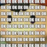 Ness Face | OK OK OK OK OK OK OK OK; OK OK OK OK OK OK OK OK; OK OK  OK OK OK OK OK OK; OK OK OK OK OK OK OK OK; OK OK OK OK OK OK OK OK; OK OK OK OK OK OK OK OK; OK OK OK OK OK OK OK OK; OK OK OK OK OK OK OK OK | image tagged in ness face | made w/ Imgflip meme maker