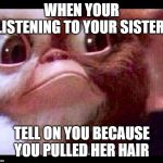 Gizmo | WHEN YOUR LISTENING TO YOUR SISTER; TELL ON YOU BECAUSE YOU PULLED HER HAIR | image tagged in gizmo | made w/ Imgflip meme maker