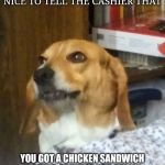 Whatever Dog | THAT EXPRESSION YOU MAKE WHEN YOU'RE TOO NICE TO TELL THE CASHIER THAT; YOU GOT A CHICKEN SANDWICH INSTEAD OF WHAT YOU REALLY ORDERED, SO YOUR LIKE, "WHATEVER..." | image tagged in whatever dog | made w/ Imgflip meme maker