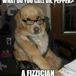 smart dog | WHAT DO YOU CALL DR. PEPPER? A FIZZICIAN | image tagged in smart dog | made w/ Imgflip meme maker