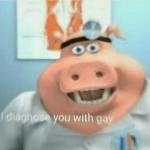 I diagnose you with gay meme