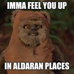 Mischievous Ewok | IMMA FEEL YOU UP; IN ALDARAN PLACES | image tagged in mischievous ewok | made w/ Imgflip meme maker