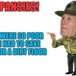 we were so poor | PANSIES! WE WERE SO POOR WE HAD TO SAVE UP FOR A DIRT FLOOR | image tagged in sargent kewlew,meme | made w/ Imgflip meme maker