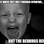 Bedbug Rage | THAT FACE WHEN THEY JUST FINISHED SPRAYING... BUT THE BEDBUGS REMAIN! | image tagged in anger rage scream shout irritation frustration annoyance,bedbugs,chemicals,damn bedbugs,pissed off | made w/ Imgflip meme maker