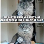 Cat interview high res | SIR, DID YOU KNOW YOU DON'T HAVE TO RUN AROUND LIKE A LUNATIC AT 2 AM? | image tagged in cat interview high res | made w/ Imgflip meme maker