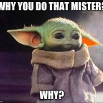 Baby yoda sad | WHY YOU DO THAT MISTER? WHY? | image tagged in baby yoda sad | made w/ Imgflip meme maker