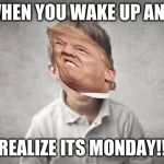 screaming kid | WHEN YOU WAKE UP AND; REALIZE ITS MONDAY!! | image tagged in screaming kid | made w/ Imgflip meme maker
