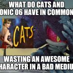 Facepalming Mephiles | WHAT DO CATS AND SONIC 06 HAVE IN COMMON? WASTING AN AWESOME CHARACTER IN A BAD MEDIUM | image tagged in facepalming mephiles | made w/ Imgflip meme maker
