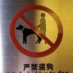 Forbidden To Dog