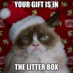 Grumpy Cat Christmas | YOUR GIFT IS IN; THE LITTER BOX | image tagged in grumpy cat christmas | made w/ Imgflip meme maker