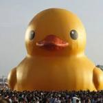 DUCK OF DOOM