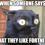 What has been seen cat | WHEN SOMEONE SAYS; THAT THEY LIKE FORTNITE | image tagged in what has been seen cat | made w/ Imgflip meme maker