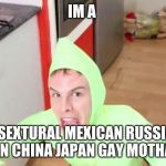 IM GAY | IM A; BISEXTURAL MEXICAN RUSSIAN ASIAN CHINA JAPAN GAY MOTHAFOA | image tagged in im gay | made w/ Imgflip meme maker