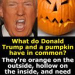 Trumpkin