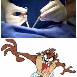 Surgeon vs. Taz meme