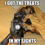 Sniper Dog | I GOT THE TREATS; IN MY SIGHTS | image tagged in sniper dog | made w/ Imgflip meme maker