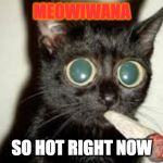 Meowiiwowii | MEOWIWANA; SO HOT RIGHT NOW | image tagged in meowiiwowii | made w/ Imgflip meme maker