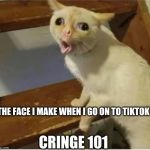 Coughing cat | THE FACE I MAKE WHEN I GO ON TO TIKTOK; CRINGE 101 | image tagged in coughing cat | made w/ Imgflip meme maker