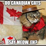 Canada Cat | DO CANADIAN CATS; SAY MEOW, EH? | image tagged in canada cat | made w/ Imgflip meme maker