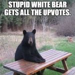 Black Bear | STUPID WHITE BEAR GETS ALL THE UPVOTES. | image tagged in black bear | made w/ Imgflip meme maker