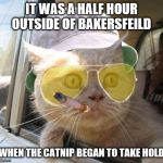 Fear And Loathing Cat | IT WAS A HALF HOUR OUTSIDE OF BAKERSFEILD WHEN THE CATNIP BEGAN TO TAKE HOLD | image tagged in memes,fear and loathing cat | made w/ Imgflip meme maker