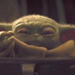 Baby Yoda