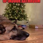 The Christmas Tree: Teasing dogs around the globe for more than a millennium. | FINALLY GETS WISH OF INDOOR BATHROOM; CAN'T USE IT | image tagged in sad christmas dog,memes,dog memes,bathroom humor,christmas tree,why cant i | made w/ Imgflip meme maker