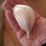 Garlic meme