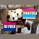 panda kisses | PAN FOLX; BI FOLX | image tagged in panda kisses | made w/ Imgflip meme maker
