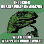 Philosaraptor | IF I ORDER BUBBLE WRAP ON AMAZON, WILL IT COME WRAPPED IN BUBBLE WRAP? | image tagged in philosaraptor | made w/ Imgflip meme maker
