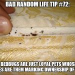 bed bug mattress inspection | BAD RANDOM LIFE TIP #72:; BEDBUGS ARE JUST LOYAL PETS WHOSE BITES ARE THEM MARKING OWNERSHIP OF YOU. | image tagged in bed bug mattress inspection | made w/ Imgflip meme maker